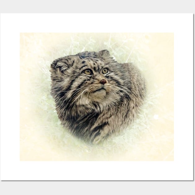 Manul Wall Art by Guardi